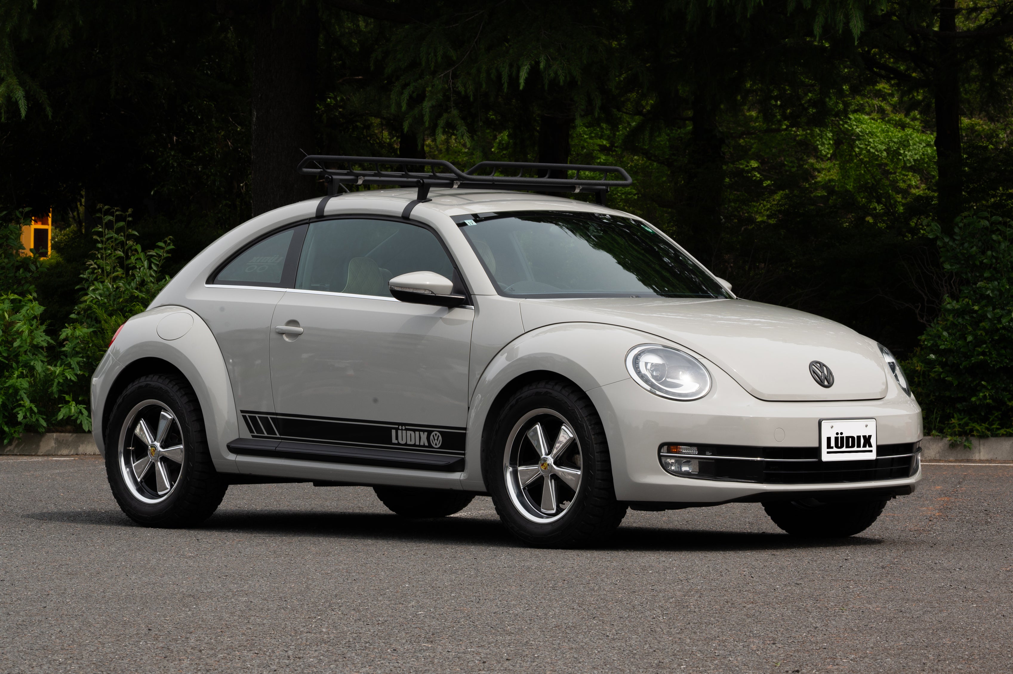 gallery_VW_TheBeetle_Cayon_01.jpg